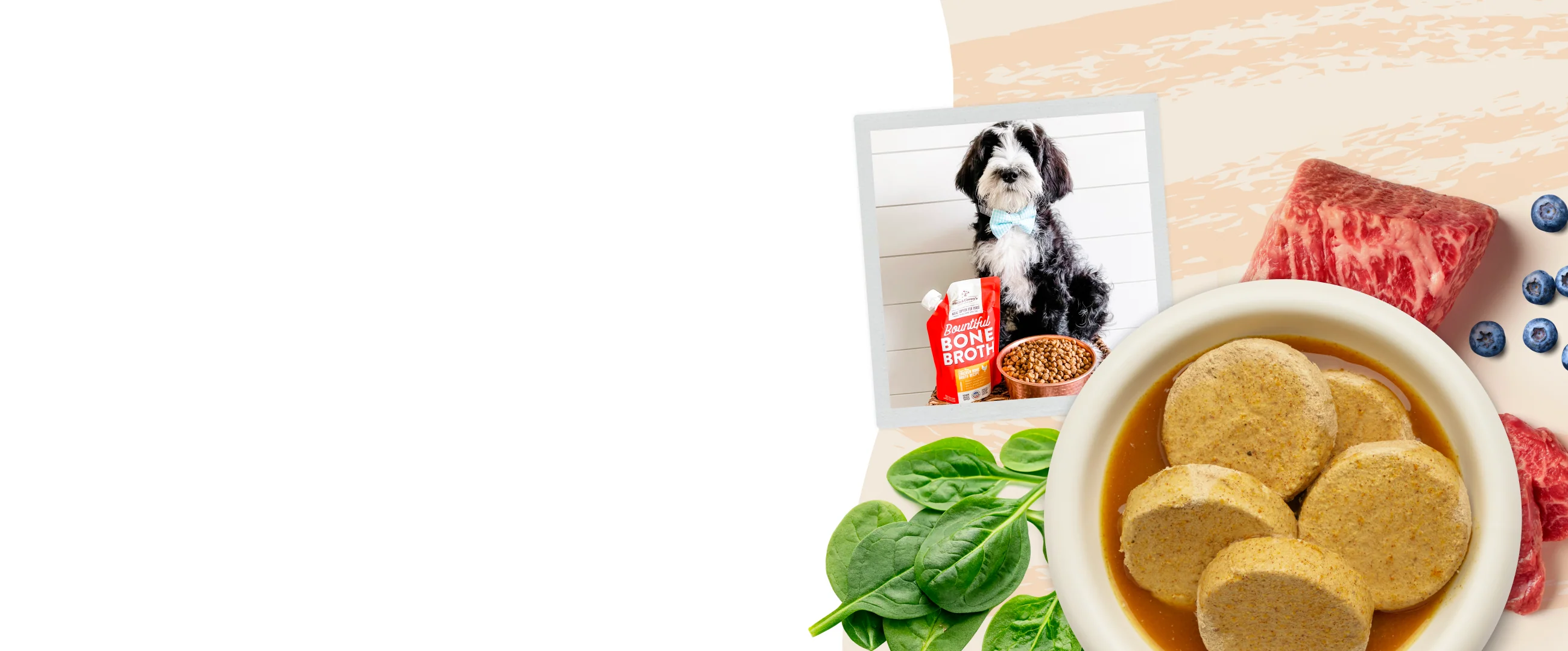 Pure Nutrition for Loyal Companions